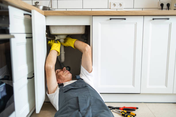 Best Local Plumber Services  in Donald, OR